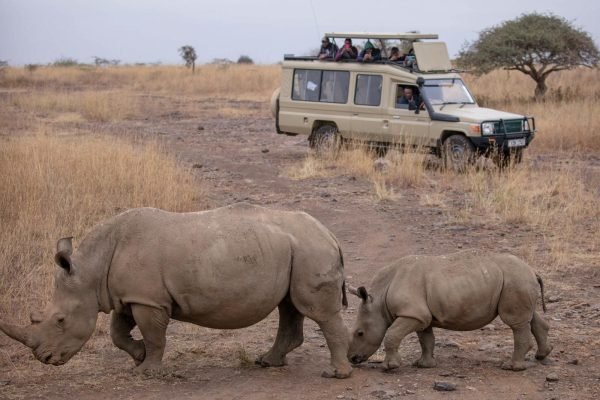 group-private-safari-explore-photo-tours group-private-safari-explore-photo-tours