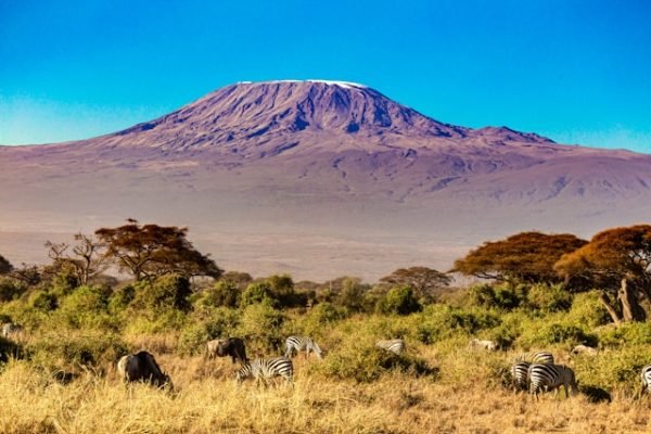 kilimanjaro-views-kenya-tour