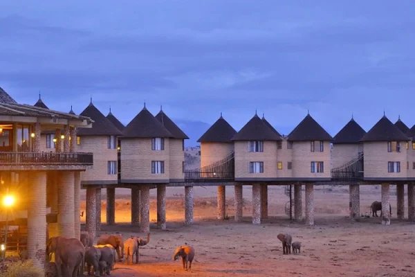 salt-lick-safari-lodge