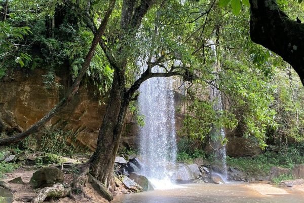 shimba-hills-national-park-waterfall shimba-hills-national-park-waterfall