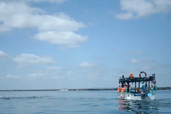 watamu-dolphin-tours-beach-holiday watamu-dolphin-tours-beach-holiday